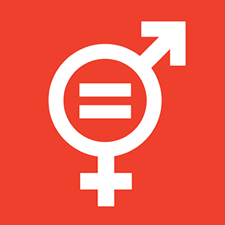 SDG 5 - TOPLUMSAL CİNSİYET EŞİTLİĞİ